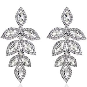 Fashion Earrings for special occasion